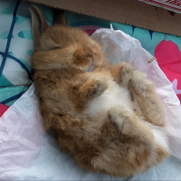 Meet your Posher, Kimberly - Picture 1 of 1